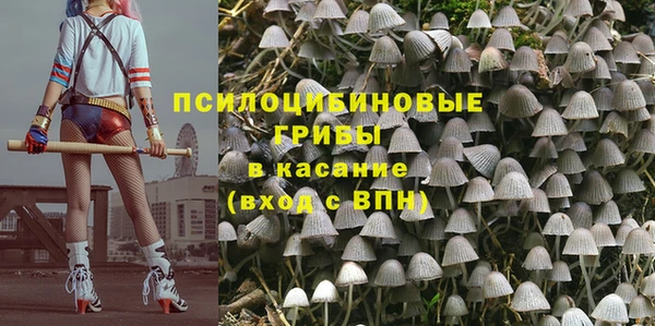прущие крисы Арсеньев